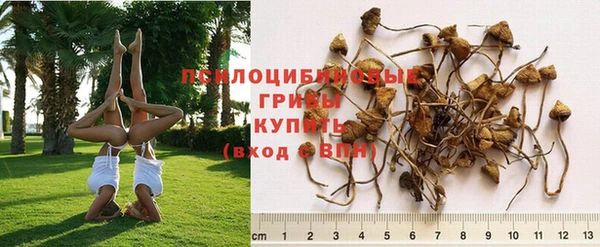 МДПВ Киреевск